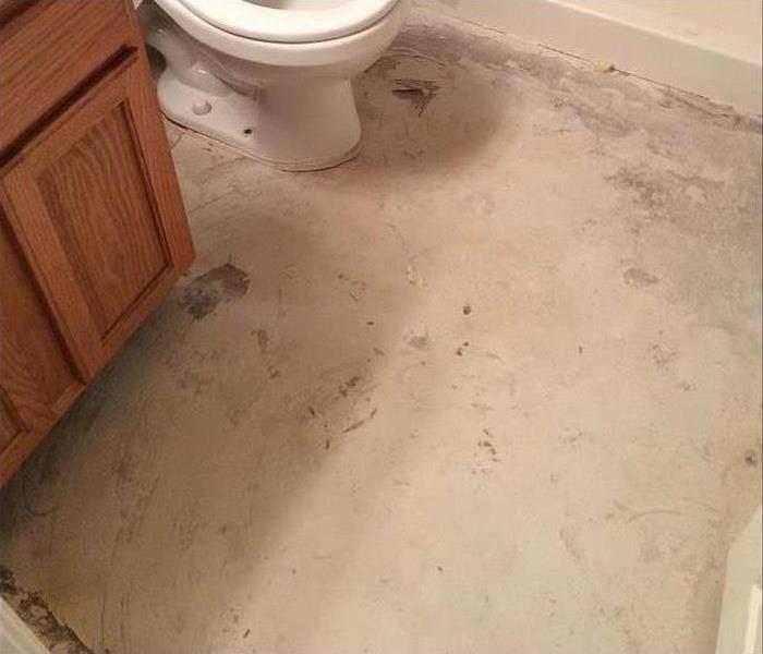 Removed flooring and mold in bathroom.