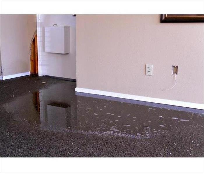 Carpet flooded with water 
