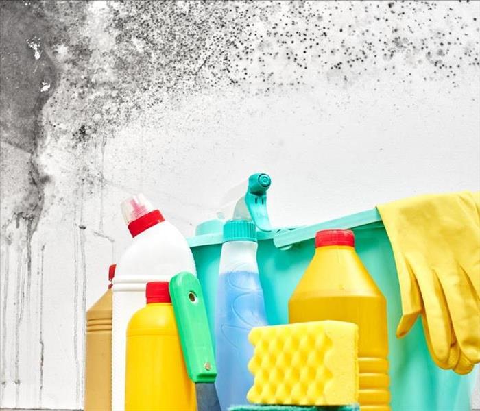 Cleanup products and black mold.